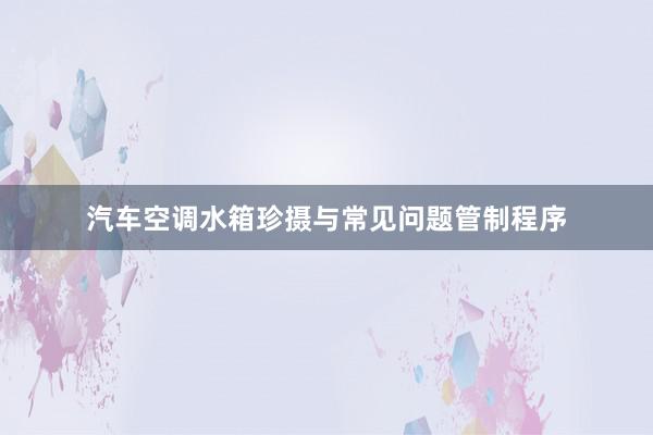 汽车空调水箱珍摄与常见问题管制程序